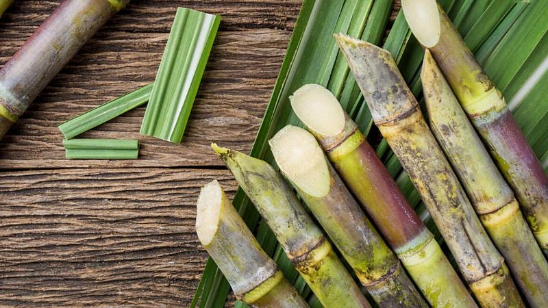 cách bán nước mía