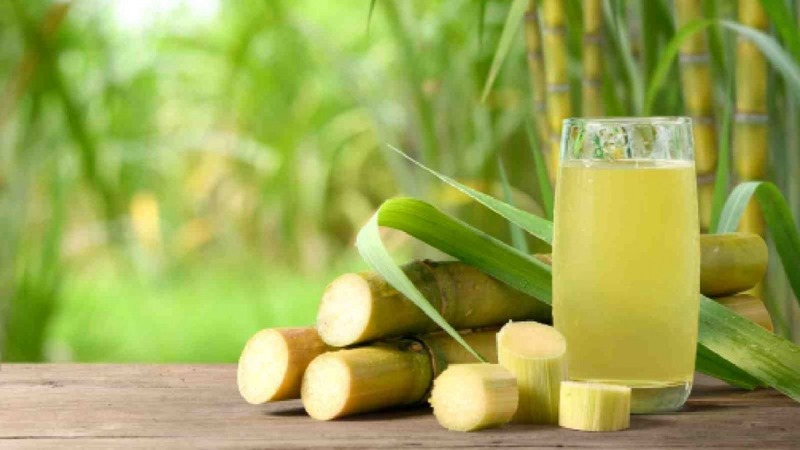cách để mía được tươi lâu cách để mía được tươi lâu