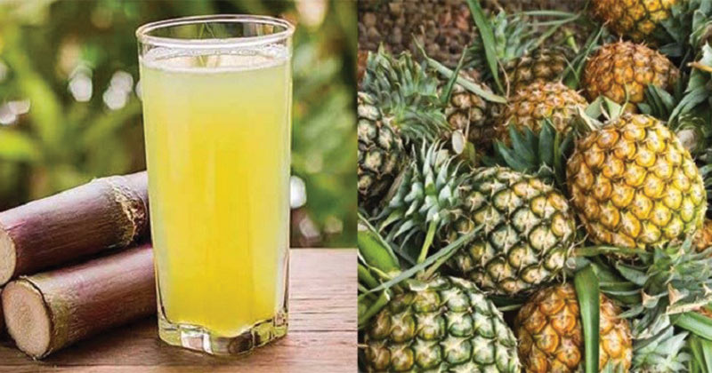 Làm nước mía Mix thêm các loại hoa quả khác Làm nước mía Mix thêm các loại hoa quả khác