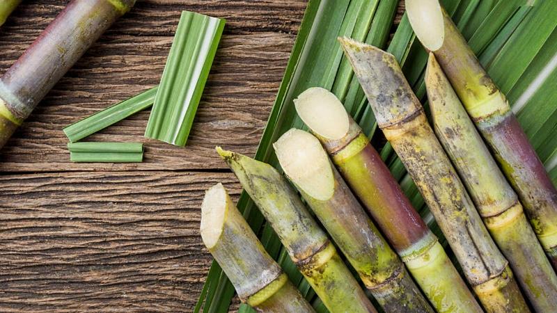 đường trong nước mía là đường gì