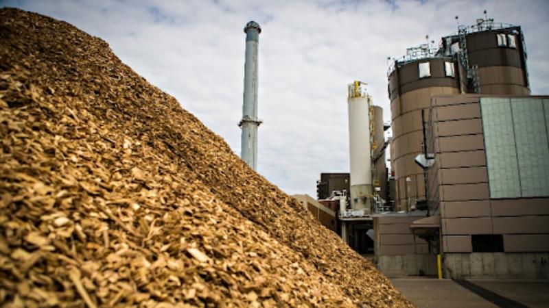 làm giàu từ bã mía