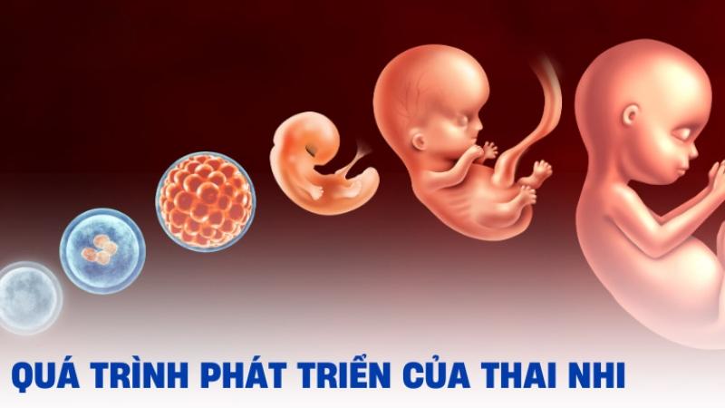 mẹ bầu 3 tháng đầu có được uống nước mía