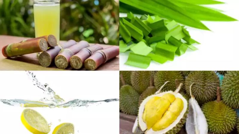 mở quán nước mía sầu riêng