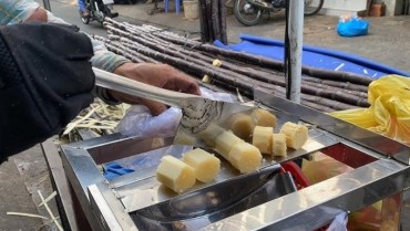 Cách Cạo Vỏ Mía Nhanh – Bí Quyết Tiết Kiệm Thời Gian Và Công Sức