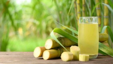 Tìm hiểu cách để mía được tươi lâu chất lượng hiệu quả nhất